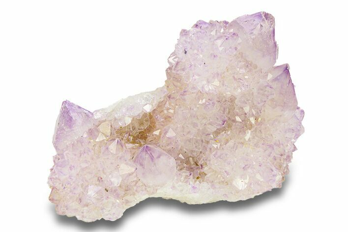 Cactus Quartz (Amethyst) Crystal Cluster - South Africa #281902